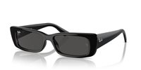 Gafas Ray-Ban teru RB4425 667787