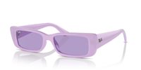 Gafas de sol Ray Ban Teru RB4425 67581A