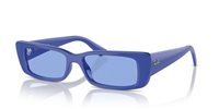 Gafas Ray-Ban teru RB4425 676180