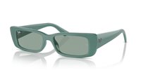 Gafas Ray-Ban teru RB4425 676282