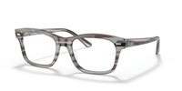 Gafas Ray-Ban Vista mr burbank RX5383 8055