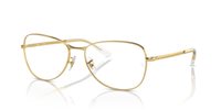 Gafas Ray-Ban Vista  RX3733V 2500