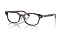Gafas Ray-Ban Vista  RX5427D 8287