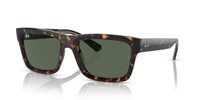 Gafas de sol Ray Ban Warren RB4396 135971