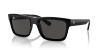 Gafas Ray-Ban warren RB4396 667787