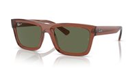 Gafas Ray-Ban warren RB4396 66789A