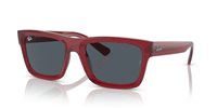 Gafas Ray-Ban warren RB4396 667987