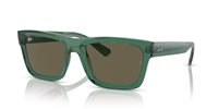 Gafas Ray-Ban warren RB4396 6681/3