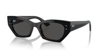 Gafas Ray-Ban zena RB4430 667787