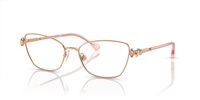 Gafas SWAROVSKI  SK1006 4014