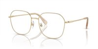 Gafas SWAROVSKI  SK1009D 4013