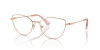 Gafas SWAROVSKI  SK1012 4014