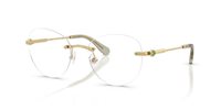 Gafas SWAROVSKI  SK1021 4017
