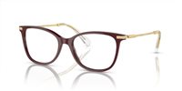 Gafas SWAROVSKI  SK2010 1008