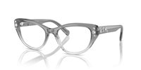 Gafas SWAROVSKI  SK2023 1046