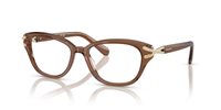 Gafas SWAROVSKI  SK2032 1067