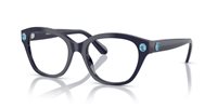 Gafas SWAROVSKI  SK2038 1004