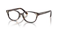 Gafas SWAROVSKI  SK2040D 1002