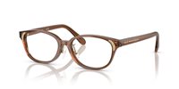 Gafas SWAROVSKI  SK2040D 1067