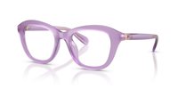Gafas SWAROVSKI  SK2042U 1075