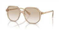 Gafas SWAROVSKI  SK6003 103411