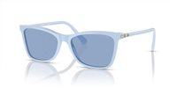 Gafas SWAROVSKI  SK6004 10061U