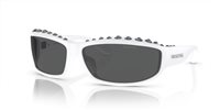 Gafas SWAROVSKI  SK6009 102987