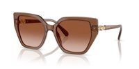 Gafas SWAROVSKI  SK6016 106713