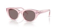 Gafas SWAROVSKI  SK6025 30017N