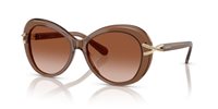 Gafas SWAROVSKI  SK6026 106713