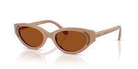 Gafas SWAROVSKI  SK6030 106173