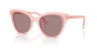 Gafas SWAROVSKI  SK6031 10317N