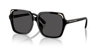 Gafas SWAROVSKI  SK6034D 100187