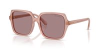 Gafas SWAROVSKI  SK6034D 10257N