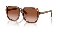 Gafas SWAROVSKI  SK6034D 106713