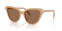 Gafas SWAROVSKI  SK6039 2002OK