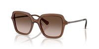 Gafas SWAROVSKI  SK6040 106713