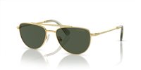 Gafas SWAROVSKI  SK7007 401782