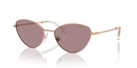 Gafas SWAROVSKI  SK7014 40147N