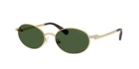 Gafas SWAROVSKI  SK7033 400471