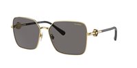 Gafas Versace  VE2227 100281