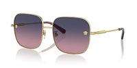 Gafas Versace  VE2246D 1002I6