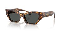 Gafas de sol Versace  VE4488U 551487