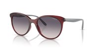Gafas Vogue  VO5453S 292436