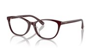 Gafas Vogue  VO5502D 3158