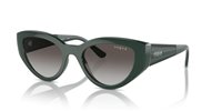 Gafas Vogue  VO5566S 31228G