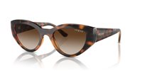Gafas Vogue  VO5566S W65613