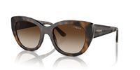 Gafas Vogue  VO5567S 238613