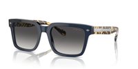 Gafas de sol Vogue  VO5573S 31438G