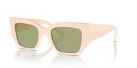 Gafas Vogue  VO5583S 316482